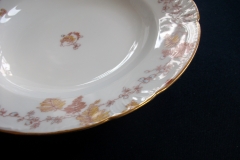 HAVILAND-CFH/GDM- AUTUMN-  RIM SOUP BOWL   .....   https://www.jaapiesfinechinastore.com