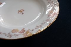 HAVILAND-CFH/GDM- AUTUMN-  RIM SOUP BOWL   .....   http://jaapiesfinechinastore.com