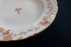 HAVILAND-CFH/GDM- AUTUMN-  RIM SOUP BOWL   .....   http://jaapiesfinechinastore.com