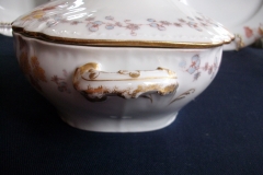 HAVILAND-CFH/GDM- AUTUMN- VEGETABLE TUREEN  .....   https://www.jaapiesfinechinastore.com