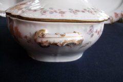 HAVILAND-CFH/GDM- AUTUMN- VEGETABLE TUREEN  .....   http://jaapiesfinechinastore.com