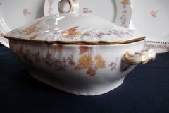 HAVILAND-CFH/GDM- AUTUMN- VEGETABLE TUREEN  .....   http://jaapiesfinechinastore.com
