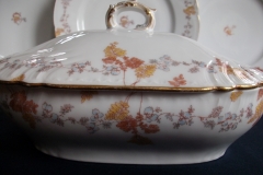 HAVILAND-CFH/GDM- AUTUMN- VEGETABLE TUREEN  .....   https://www.jaapiesfinechinastore.com