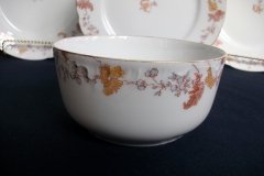 HAVILAND-CFH/GDM- AUTUMN- WASTE BOWL .....   http://jaapiesfinechinastore.com