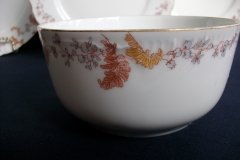 HAVILAND-CFH/GDM- AUTUMN- WASTE BOWL .....   http://jaapiesfinechinastore.com