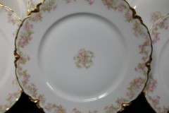 HAVILAND FLORAL GARLAND SCH 525- DINNER PLATE 9 5/8" ..... https://www.jaapiesfinechinastore.com