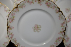 HAVILAND FLORAL GARLAND SCH 525- DINNER PLATE 9 5/8" ..... https://www.jaapiesfinechinastore.com