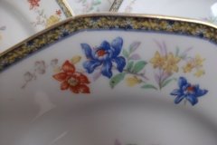 HAVILAND  GANGA- DINNER PLATE  .....   ttps://jaapiesfinechinastore.com