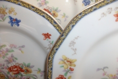 HAVILAND  GANGA- DINNER PLATE  .....   ttps://www.jaapiesfinechinastore.com