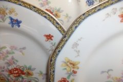 HAVILAND  GANGA- DINNER PLATE  .....   ttps://jaapiesfinechinastore.com