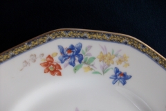 HAVILAND  GANGA- DINNER PLATE  .....   ttps://www.jaapiesfinechinastore.com