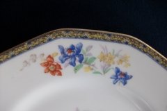 HAVILAND  GANGA- DINNER PLATE  .....   ttps://jaapiesfinechinastore.com