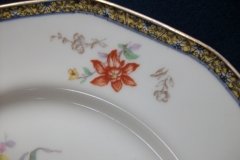 HAVILAND  GANGA- DINNER PLATE  .....   ttps://jaapiesfinechinastore.com