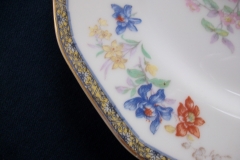 HAVILAND  GANGA- DINNER PLATE  .....   ttps://www.jaapiesfinechinastore.com