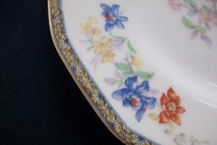 HAVILAND  GANGA- DINNER PLATE  .....   ttps://jaapiesfinechinastore.com