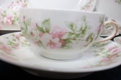 HAVILAND ROSE GARLAND- CUP &  SAUCER    .....   http://jaapiesfinechinastore.com