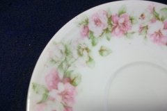 HAVILAND ROSE GARLAND- CUP &  SAUCER    .....   http://jaapiesfinechinastore.com