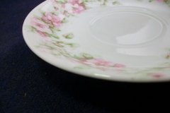 HAVILAND ROSE GARLAND- CUP &  SAUCER    .....   http://jaapiesfinechinastore.com
