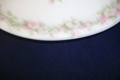 HAVILAND ROSE GARLAND- RELISH DISH    ..... http://jaapiesfinechinastore.com