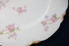 HAVILAND SCATTERED ROSES SCH 39F- DINNER PLATE  9  5/8""  ..... http://jaapiesfinechinastore.com