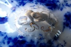 HENRY ALCOCK TOURAINE- OVAL SERVING BOWL  #1    .....   http://jaapiesfinechinastore.com