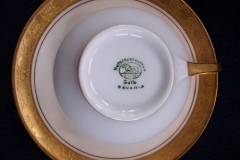 HUTSCHENREUTHER FAVORIT (ENCRUSTED GOLD BAND)-  CUP & SAUCER  .....  https://www.jaapiesFineChinaStore.com