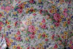MIDWINTER BRAMA- DINNER PLATE 9 15/16" ..... http://jaapiesfinechinastore.com