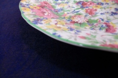 MIDWINTER BRAMA- LUNCH PLATE  9" ..... https://www.jaapiesfinechinastore.com