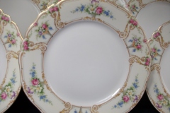 PAUL MULLER POMPADOUR- DINNER PLATE  9  7/8 " ..... https://www.jaapiesfinechinastore.com