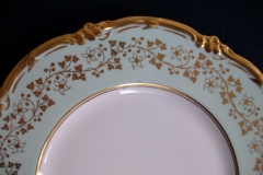 ROYAL CAULDON CONSORT GREEN (GOLD VINES & FLOWERS)-  DINNER PLATE   .....  https://www.jaapiesFineChinaStore.com