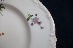 ROYAL CAULDON MARITA- SALAD PLATE.....https://www.jaapiesfinechinastore.com