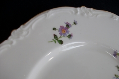 ROYAL CAULDON MARITA- SALAD PLATE.....https://www.jaapiesfinechinastore.com