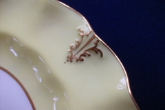 ROYAL CROWN DERBY A315 YELLOW/FLORAL - LUNCH PLATE   .....   https://www.jaapiesfinechinastore.com