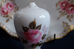 ROYAL CROWN DERBY ROYAL PINXTON ROSES A1155 -  SHAKER  7 HOLE  .....   https://www.jaapiesfinechinastore.com