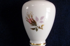 ROYAL CROWN DERBY ROYAL PINXTON ROSES A1155 -  SHAKER  7 HOLE  .....   https://www.jaapiesfinechinastore.com