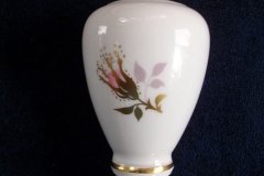 ROYAL CROWN DERBY ROYAL PINXTON ROSES A1155 -  SHAKER  7 HOLE  .....   http://jaapiesfinechinastore.com