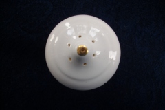 ROYAL CROWN DERBY ROYAL PINXTON ROSES A1155 -  SHAKER  7 HOLE  .....   https://www.jaapiesfinechinastore.com