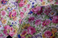 ROYAL WINTON SUMMERTIME-  SAUCER  5  3/4" (ASCOT) ..... http://jaapiesfinechinastore.com
