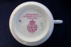 ROYAL WORCESTER COBALT 5788- COFFEE CUP & SAUCER   .....   http://jaapiesfinechinastore.com