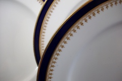 ROYAL WORCESTER COBALT 5488- LUNCHEON PLATE 9 1/8"  .....  https://www.jaapiesfinechinastore.com