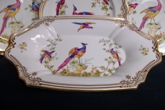 SPODE CHELSEA BIRD Y8555-   BUFFET SERVING TRAY  .....   https://www.jaapiesfinechinastore.com