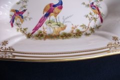 SPODE CHELSEA BIRD Y8555-   BUFFET SERVING TRAY  .....   http://jaapiesfinechinastore.com