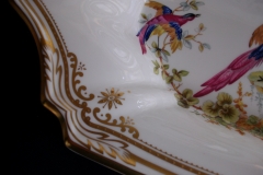 SPODE CHELSEA BIRD Y8555-   BUFFET SERVING TRAY  .....   https://www.jaapiesfinechinastore.com