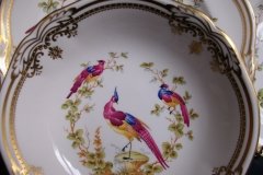 SPODE CHELSEA BIRD Y8555-   CEREAL BOWL ..... http://jaapiesfinechinastore.com