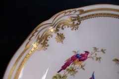 SPODE CHELSEA BIRD Y8555-   CEREAL BOWL ..... http://jaapiesfinechinastore.com