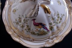 SPODE CHELSEA BIRD Y8555-   COVERED SERVING BOWL  .....   http://jaapiesfinechinastore.com