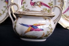 SPODE CHELSEA BIRD Y8555-  COVERED SUGAR BOWL   .....   http://jaapiesfinechinastore.com