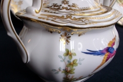 SPODE CHELSEA BIRD Y8555-  COVERED SUGAR BOWL   .....   https://www.jaapiesfinechinastore.com