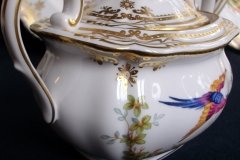 SPODE CHELSEA BIRD Y8555-  COVERED SUGAR BOWL   .....   http://jaapiesfinechinastore.com