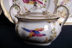 SPODE CHELSEA BIRD Y8555-  COVERED SUGAR BOWL   .....   http://jaapiesfinechinastore.com